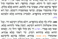 Zohar quotidiano 5151 Vayikra – E YHVH fa udire la Sua voce davanti al Suo esercito