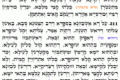 Zohar quotidiano 5152 Vayikra – Beato il popolo che conosce la teruah